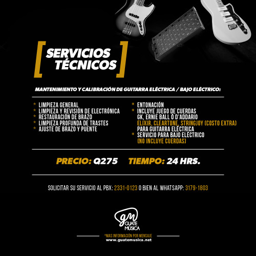 SERVICIO GM Calibracion y Mantenimiento Guitarra Electrica o Bajo Electrico