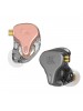 IN EAR KZ Monitor personal audífonos KZ DQ6S color oro rosa
