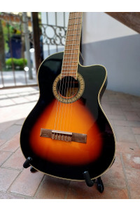 GUITARRA ELECTROACUSTICA TAGIMA WS-10 EQ-DBS - Guitarra Electroacustica