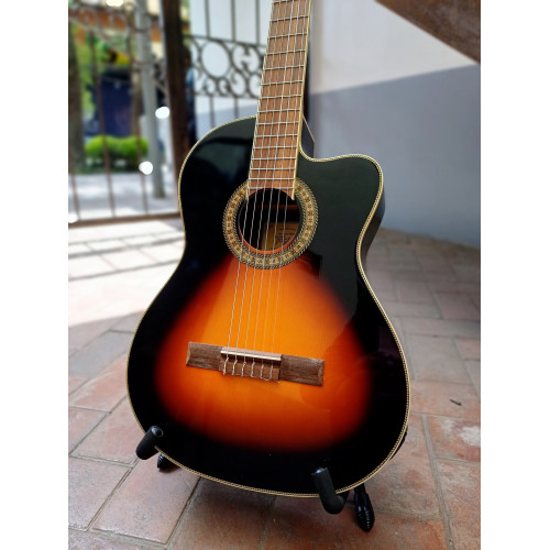 GUITARRA ELECTROACUSTICA TAGIMA WS-10 EQ-DBS - Guitarra Electroacustica