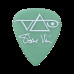 Pua Ibanez Steve Vai B1000SV-GR